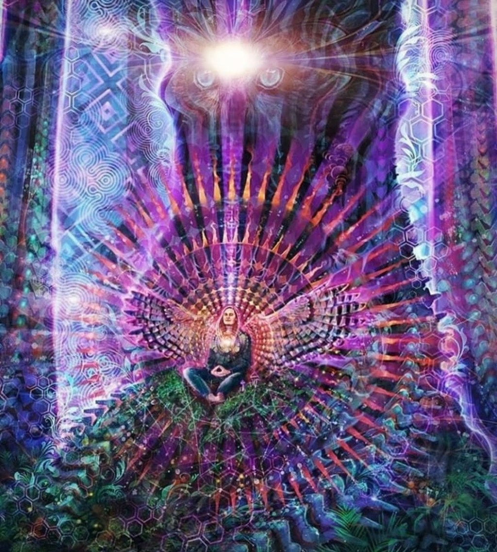 Starseeds: You’re the One you’ve been waiting&nbsp;for!